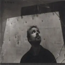 Tribus