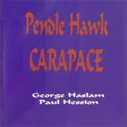 Pendle Hawk Carapace