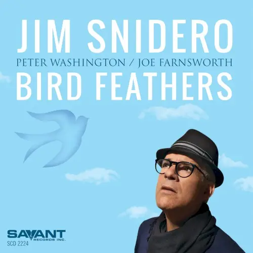 Bird Feathers