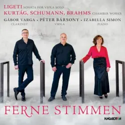 Ferne Stimmen