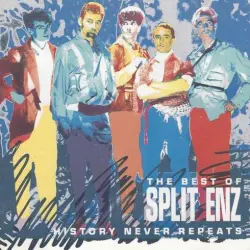 History Never Repeats - The Best of Spli Enz
