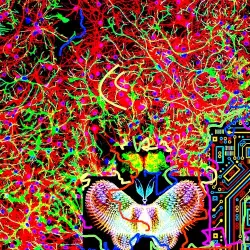 Chaos and Transformation