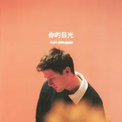 你的目光