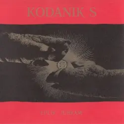 Kodanik S