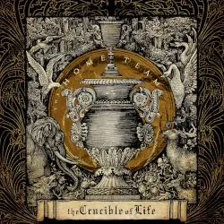 The Crucible of Life