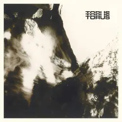 Torus