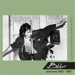 Шуточные песни 1984-1986 г.