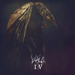 IV