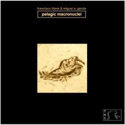 Pelagic Macronuclei Pelagic Macronuclei