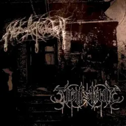 Nebelschwaden / Wolfskult