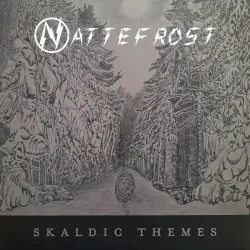 Skaldic Themes