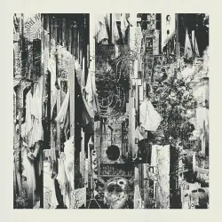 Black Rain Falls