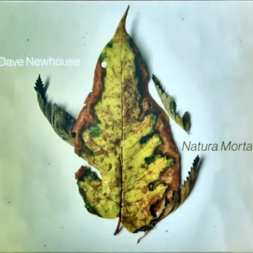 Natura Morta
