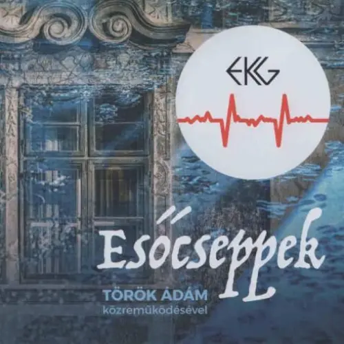 Esőcseppek