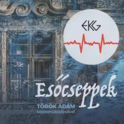 Esőcseppek