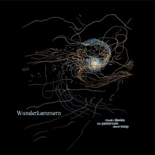Wunderkammern