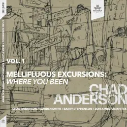 Mellifluous Excursions, Vol. 1: Where You Been