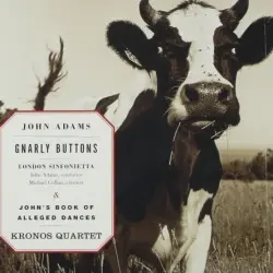 Gnarly Buttons / John's Book of Alleged Dances