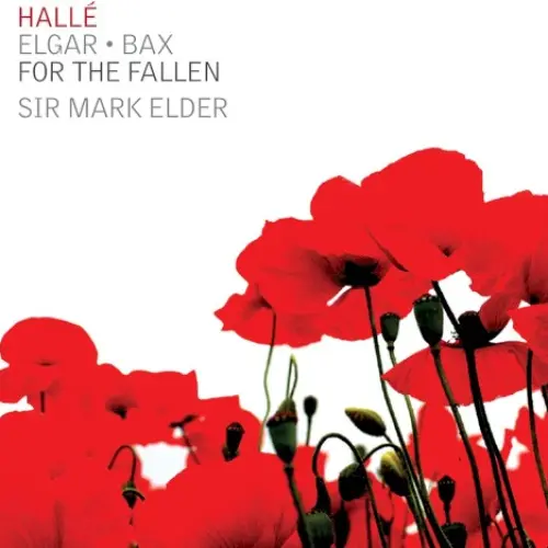 For the Fallen