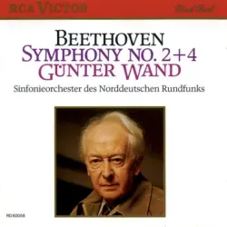 Symphony no. 2+4