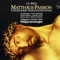 Matthäus‐Passion