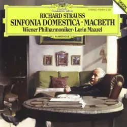 Sinfonia Domestica / Macbeth Sinfonia Domestica / Macbeth