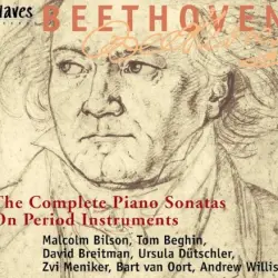 The Complete Piano Sonatas on Period Instruments