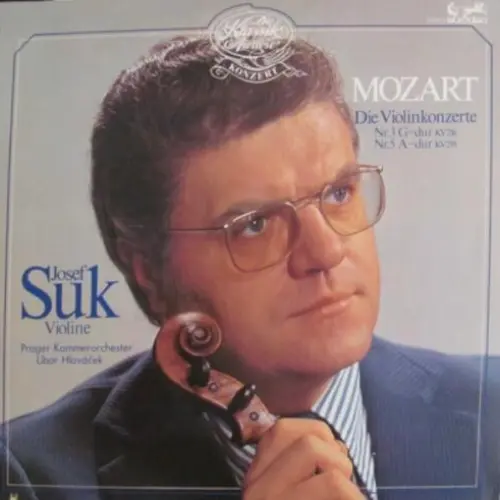 Die Violinkonzerte