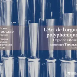 L’art de l’orgue polyphonique