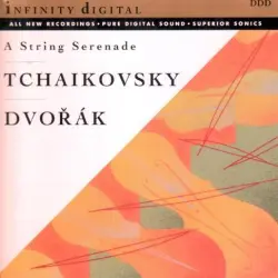 A String Serenade