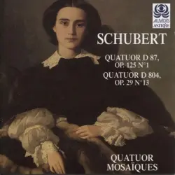 Quatuor, D. 87 / Quatuor Rosamunde, D. 804