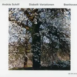 Diabelli-Variationen