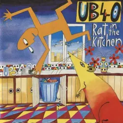 Rat in the Kitchen Rat in the Kitchen