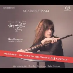 Flute Concertos / Rondo / Andante