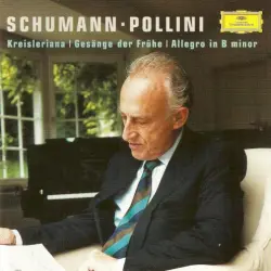 Kreisleriana, Gesänge der Frühe, Allegro in B minor