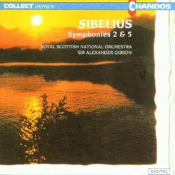 Symphonies 2 & 5