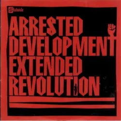 Extended Revolution
