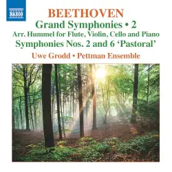 Grand Symphonies • 2