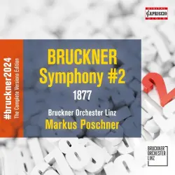 Symphony #2 (1877)