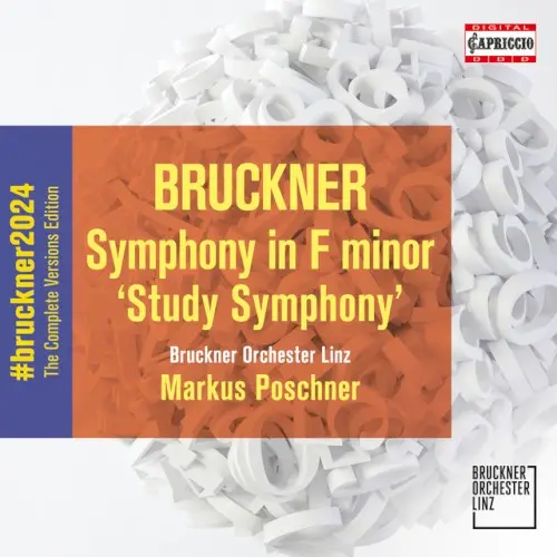 Symphony in F minor 'Study Symphony'