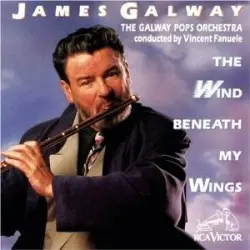 The Wind Beneath My Wings The Wind Beneath My Wings