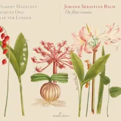 The Flute Sonatas