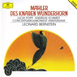 Des Knaben Wunderhorn Des Knaben Wunderhorn