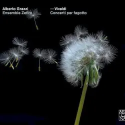 Concerti per fagotto
