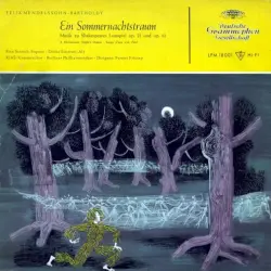 Ein Sommernachtstraum