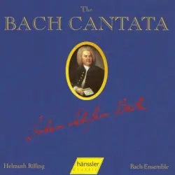 Die Bach-Kantate, Volume 6: BWV 50, 140, 29 Die Bach-Kantate, Volume 6: BWV 50, 140, 29