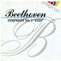 Symphony No.5 "Flate" Symphony No.5 "Flate"