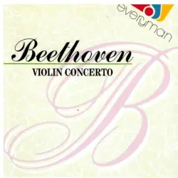 Violin Concerto Violin Concerto