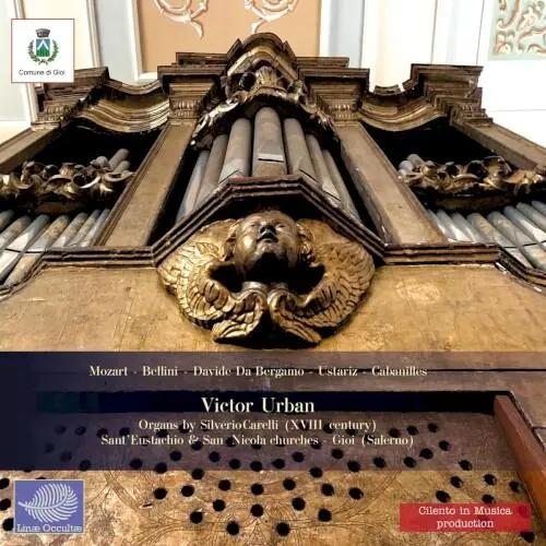 Ancient Organs in Gioi