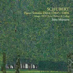 Schubert - Piano Sonatas D. 664, D. 845, D. 894, etc.